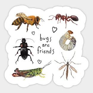 Bugs are Friends Sticker